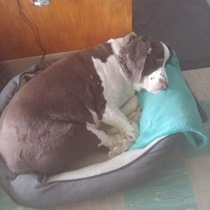 Meet your Posher, Rich